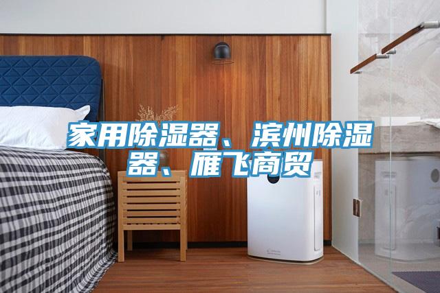 家用除濕器、濱州除濕器、雁飛商貿(mào)