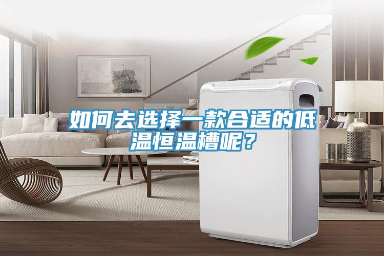 如何去選擇一款合適的低溫恒溫槽呢？