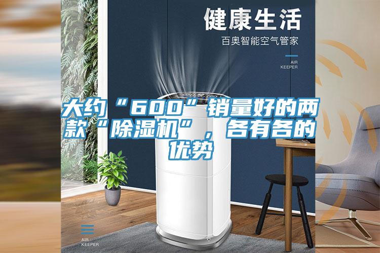 大約“600”銷量好的兩款“除濕機”，各有各的優勢