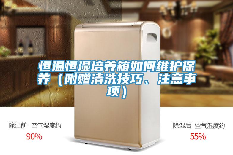 恒溫恒濕培養箱如何維護保養（附贈清洗技巧、注意事項）