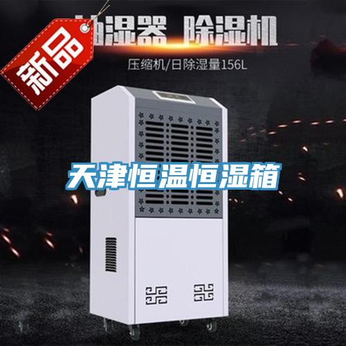 天津恒溫恒濕箱