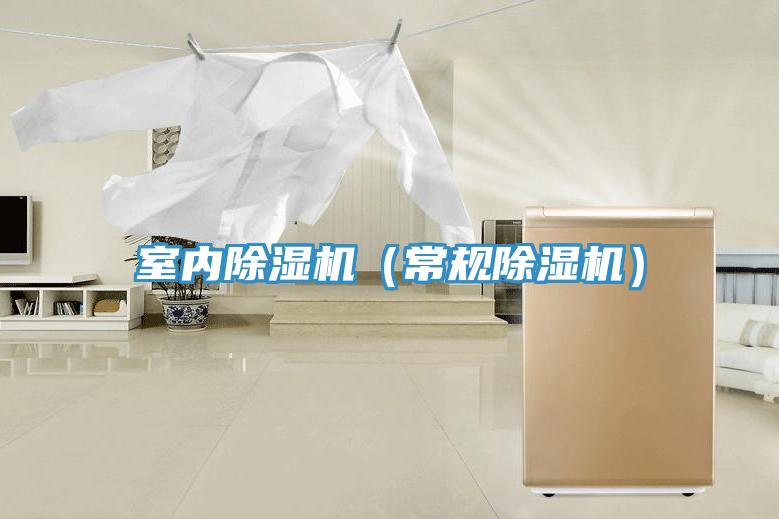 室內除濕機（常規除濕機）