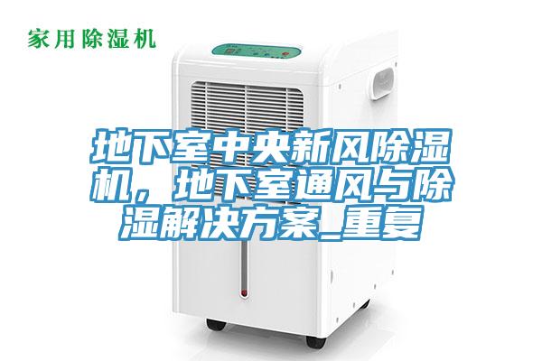 地下室中央新風除濕機，地下室通風與除濕解決方案_重復