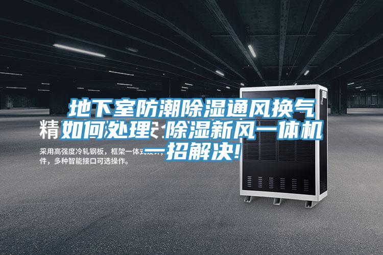 地下室防潮除濕通風換氣如何處理 除濕新風一體機一招解決!