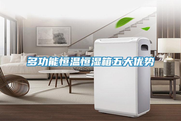 多功能恒溫恒濕箱五大優勢