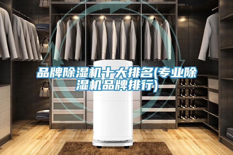 品牌除濕機(jī)十大排名(專(zhuān)業(yè)除濕機(jī)品牌排行)