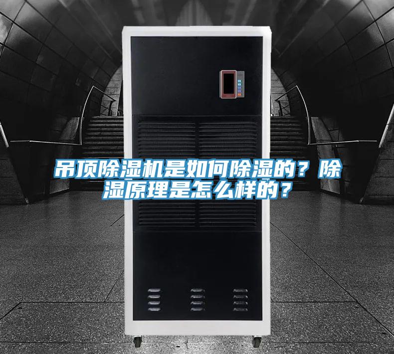 吊頂除濕機是如何除濕的？除濕原理是怎么樣的？
