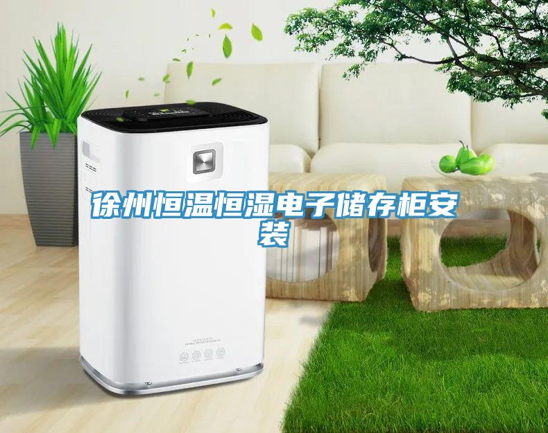 徐州恒溫恒濕電子儲(chǔ)存柜安裝