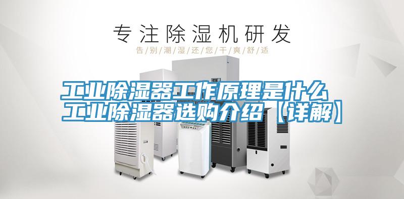 工業除濕器工作原理是什么 工業除濕器選購介紹【詳解】