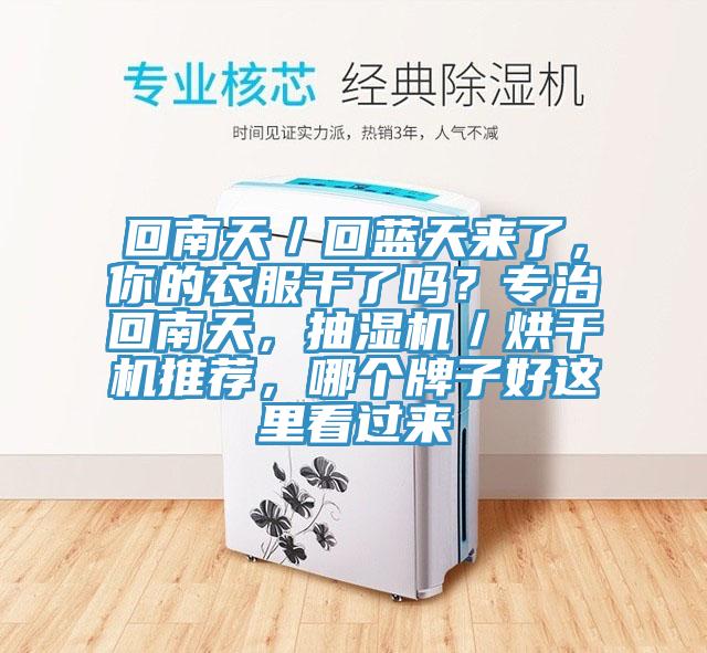 回南天／回藍天來了，你的衣服干了嗎？專治回南天，抽濕機／烘干機推薦，哪個牌子好這里看過來