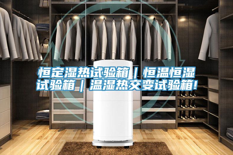 恒定濕熱試驗(yàn)箱｜恒溫恒濕試驗(yàn)箱｜溫濕熱交變?cè)囼?yàn)箱!