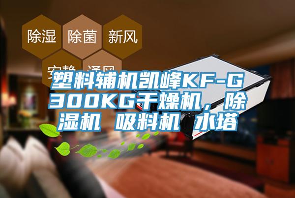 塑料輔機凱峰KF-G300KG干燥機,除濕機 吸料機 水塔
