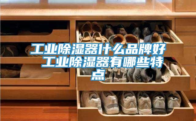 工業除濕器什么品牌好 工業除濕器有哪些特點
