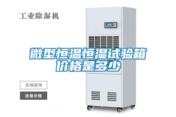 微型恒溫恒濕試驗(yàn)箱價(jià)格是多少