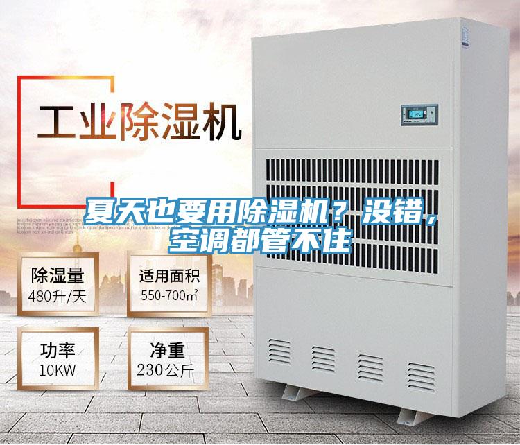 夏天也要用除濕機？沒錯，空調都管不住