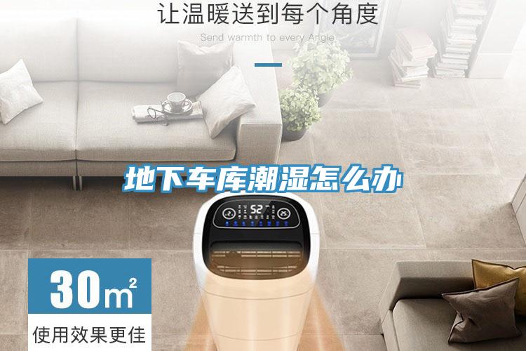 地下車庫(kù)潮濕怎么辦