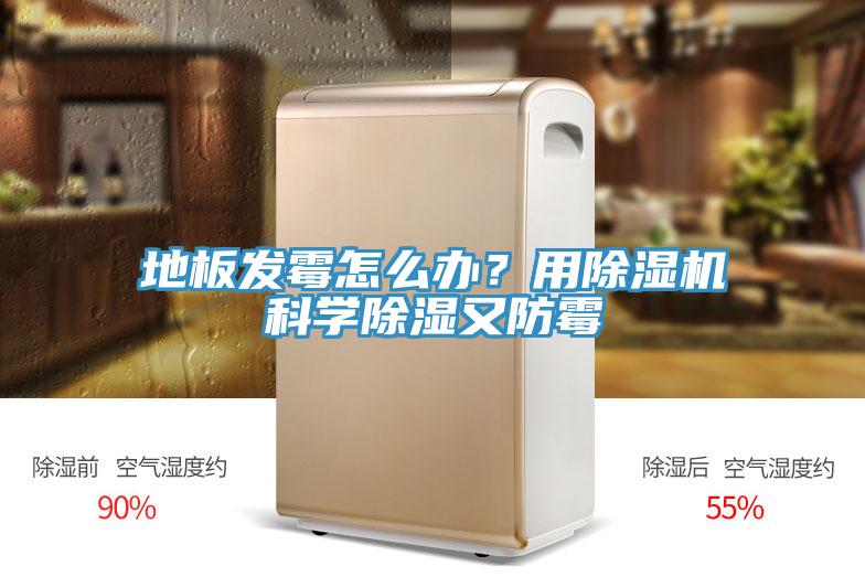 地板發(fā)霉怎么辦？用除濕機(jī)科學(xué)除濕又防霉
