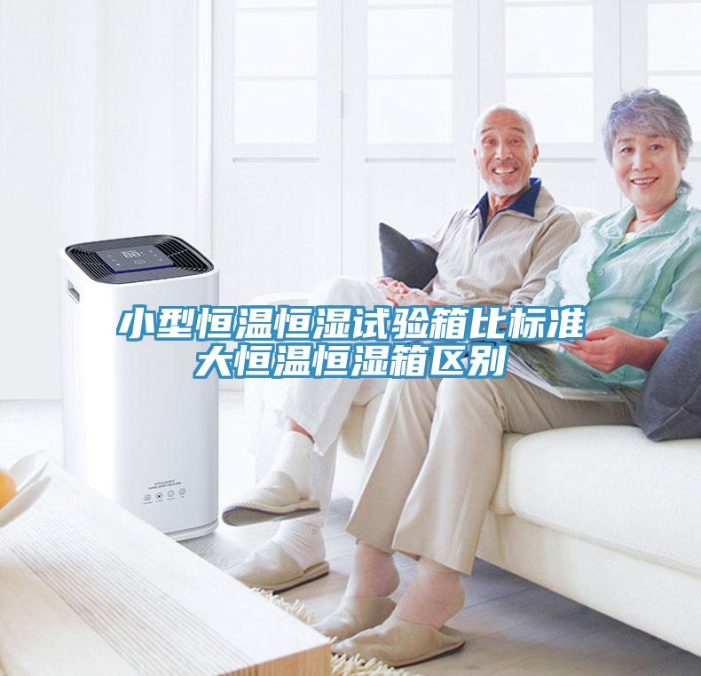 小型恒溫恒濕試驗箱比標準大恒溫恒濕箱區別