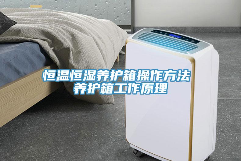 恒溫恒濕養護箱操作方法 養護箱工作原理
