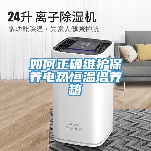 如何正確維護保養電熱恒溫培養箱