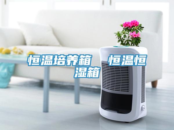 恒溫培養箱  恒溫恒濕箱