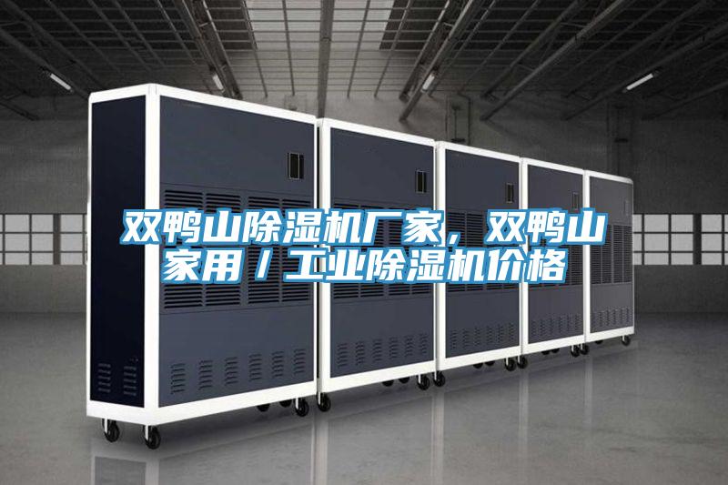 雙鴨山除濕機廠家，雙鴨山家用／工業除濕機價格