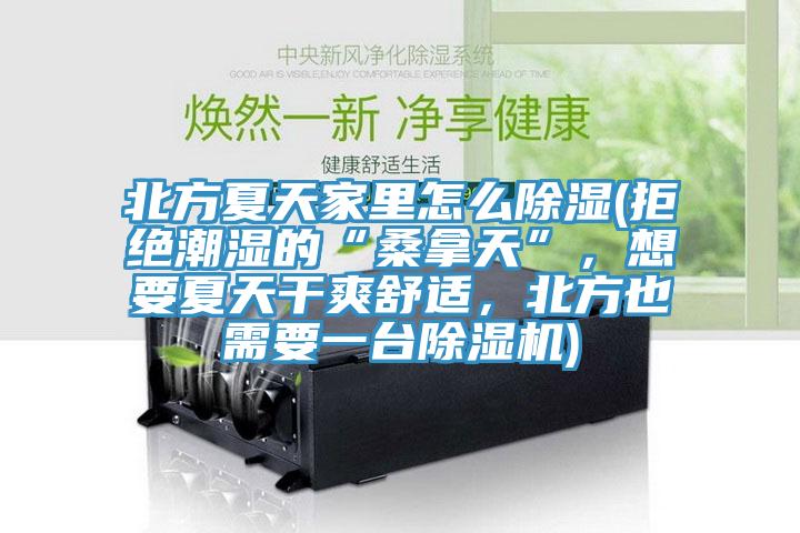 北方夏天家里怎么除濕(拒絕潮濕的“桑拿天”，想要夏天干爽舒適，北方也需要一臺除濕機)