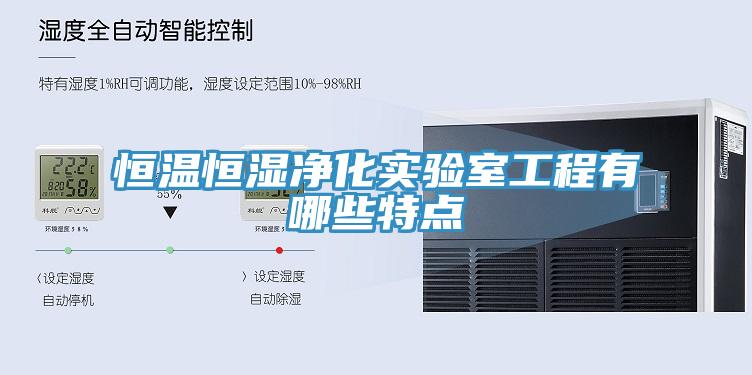 恒溫恒濕凈化實驗室工程有哪些特點