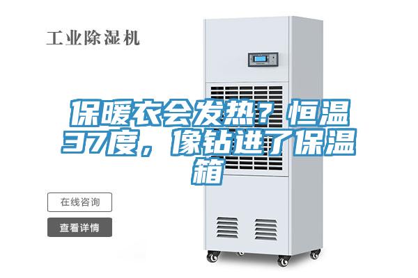 保暖衣會發(fā)熱？恒溫37度，像鉆進了保溫箱