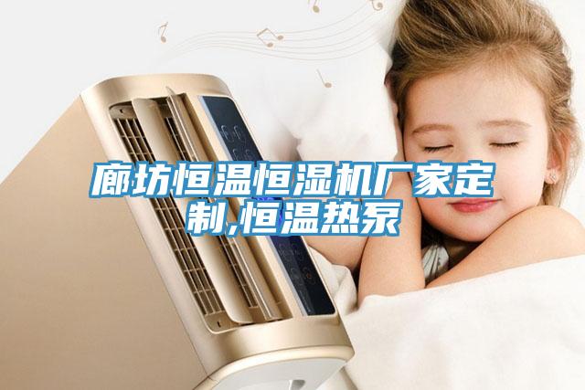 廊坊恒溫恒濕機廠家定制,恒溫熱泵