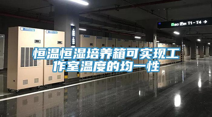 恒溫恒濕培養箱可實現工作室溫度的均一性