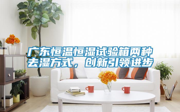 廣東恒溫恒濕試驗箱兩種去濕方式，創(chuàng)新引領進步