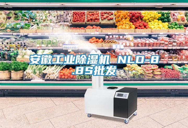 安徽工業除濕機 NLD-8.8S批發