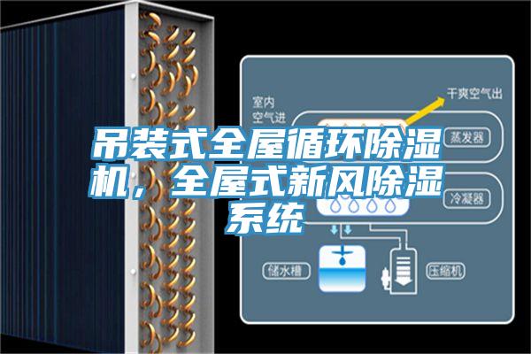 吊裝式全屋循環(huán)除濕機，全屋式新風(fēng)除濕系統(tǒng)