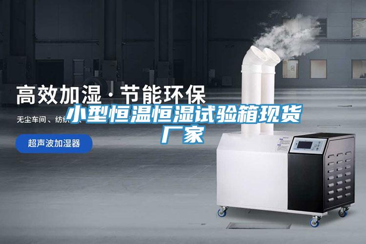 小型恒溫恒濕試驗箱現貨廠家