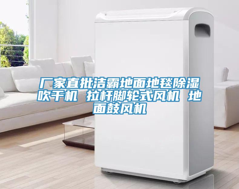 廠家直批潔霸地面地毯除濕吹干機(jī) 拉桿腳輪式風(fēng)機(jī) 地面鼓風(fēng)機(jī)