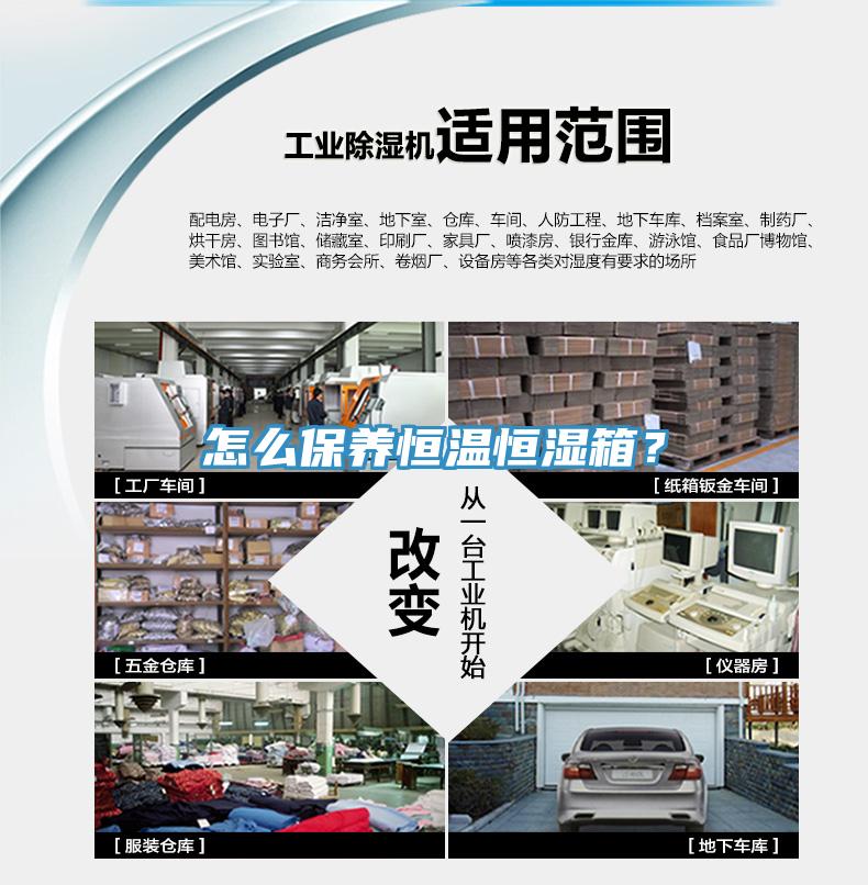 怎么保養恒溫恒濕箱？