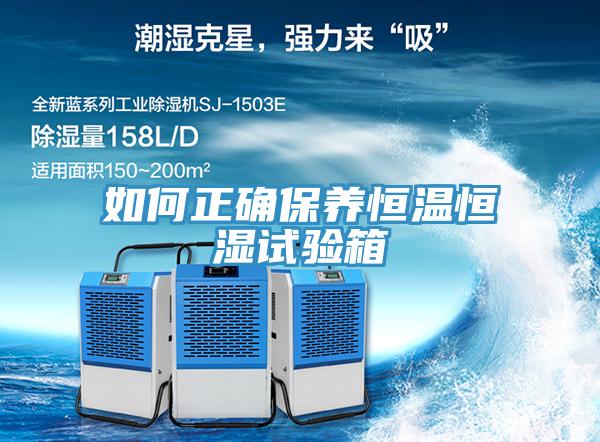 如何正確保養恒溫恒濕試驗箱