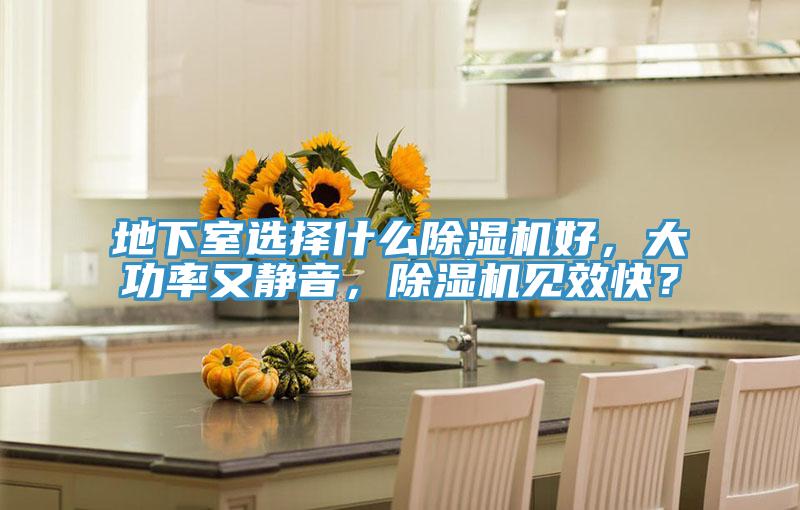 地下室選擇什么除濕機(jī)好，大功率又靜音，除濕機(jī)見效快？