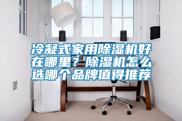 冷凝式家用除濕機好在哪里？除濕機怎么選哪個品牌值得推薦