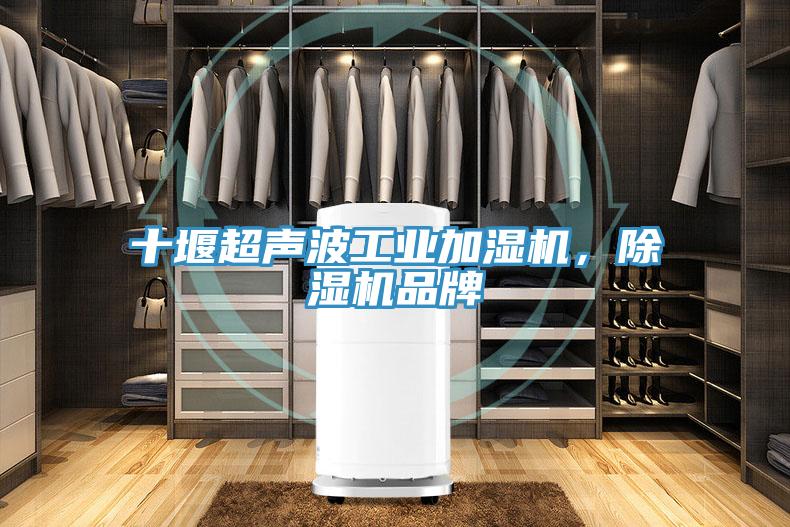 十堰超聲波工業加濕機，除濕機品牌