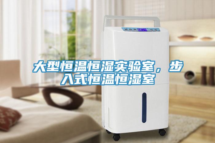 大型恒溫恒濕實驗室,步入式恒溫恒濕室