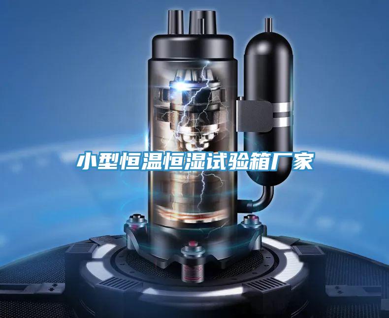 小型恒溫恒濕試驗箱廠家