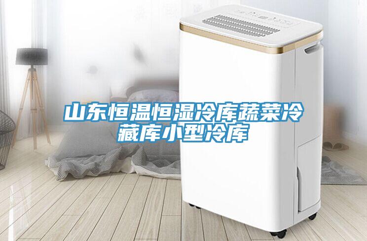 山東恒溫恒濕冷庫蔬菜冷藏庫小型冷庫
