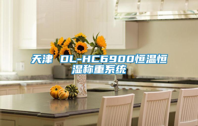 天津 DL-HC6900恒溫恒濕稱重系統