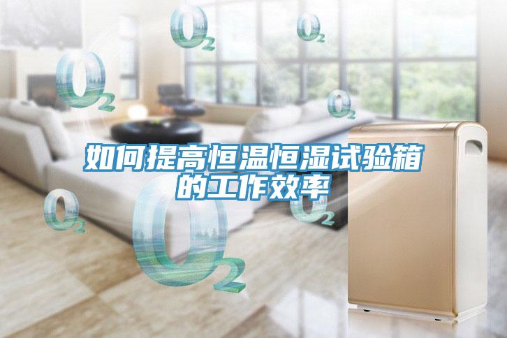 如何提高恒溫恒濕試驗箱的工作效率