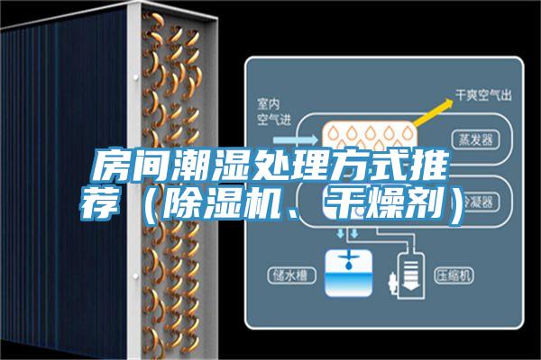 房間潮濕處理方式推薦（除濕機、干燥劑）