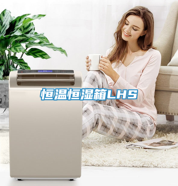 恒溫恒濕箱LHS