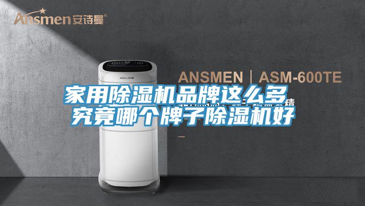 家用除濕機品牌這么多 究竟哪個牌子除濕機好