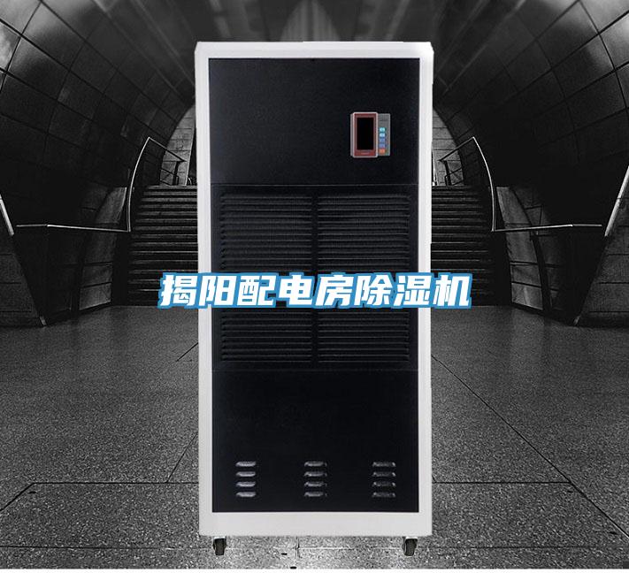 揭陽(yáng)配電房除濕機(jī)